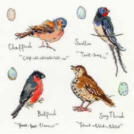 Garden Birds 3 by Madeleine Floyd Aida Bothy Threads Cross Stitch Kit