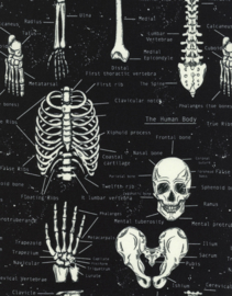 Black Fun Skeleton (Glow in the Dark) Timeless Treasures