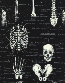 Black Fun Skeleton (Glow in the dark) - Timeless Treasures