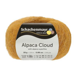 022 Alpaca Cloud SMC