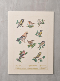 Woodlandbirds - evenweave - Permin telpakket