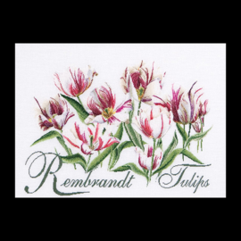 Rembrandt Tulips | Aida Telpakket | Thea Gouverneur