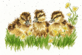 Buttercup Aida Wrendale Designs by Hannah Dale Bothy Threads Cross Stitch Kit