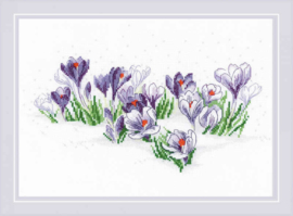 Crocuses Under The Snow | Aida Borduurpakket | Riolis