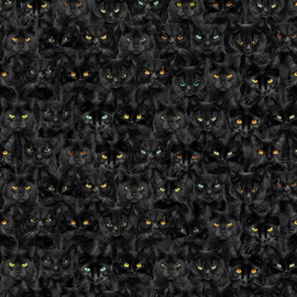 CD1831 Black cat | Timeless Treasures