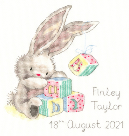 Playtime Bebunni Bothy Threads Aida Embroidery Kit