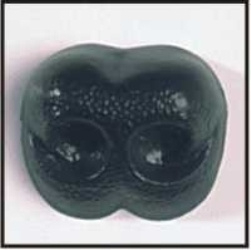 18mm/0.7" Black Dog Safety Nose