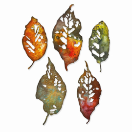 Leaf fragments | Thinlits snijmal | Tim Holtz | Sizzix
