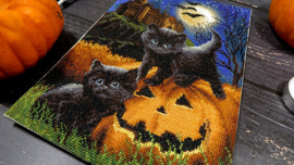 Did We Scare You? Aida  Leti Stitch Embroidery Kit