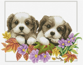 Peeking Pups - Spiekende Puppy's Aida Voorbedrukt Borduurpakket Needleart World