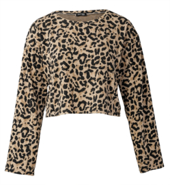 5788 Burda Naaipatroon | Sweater in variatie