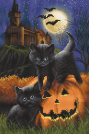 Did We Scare You? Aida  Leti Stitch Embroidery Kit