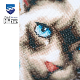 Siamese cat - aida - Vervaco telpakket
