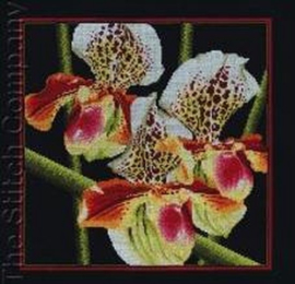 Orchids Aida Borduurpakket RTO M263