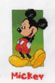 Mickey Mouse Aida Disney telpakket