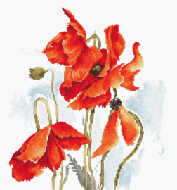 The poppies | Aida telpakket | Luca-S B2374