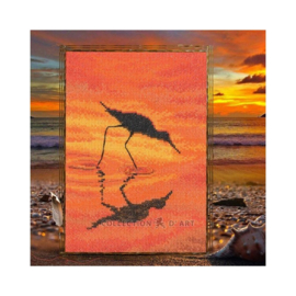Sandbill - aida - RTO telpakket
