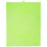 Neon Groen nr10 |  Plastic Stramien | Pony