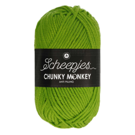 2016 Fern | Chunky Monkey | Scheepjes