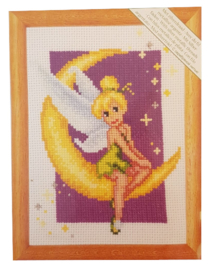 Tinkerbell Disney Faries Aida telpakket