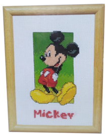 Mickey Mouse Aida Disney telpakket