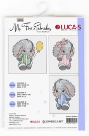 My first embroidery | Aida telpakket | Luca-S B7011