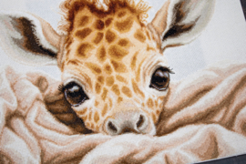 The Baby Giraffe | Aida | Luca-S telpakket