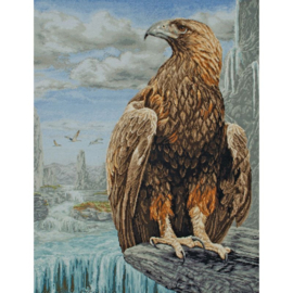 3D Eagle Aida Cross Stitch Kit Anchor