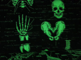 Black Fun Skeleton (Glow in the dark) - Timeless Treasures