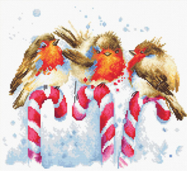 Christmas Birds Aida Luca-S Embroidery Kit