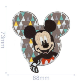 Hello Mickey Applicatie