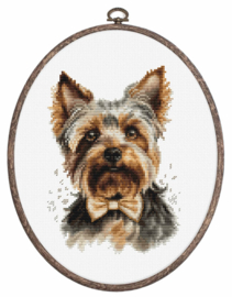 The Yorkshire Terrier | Aida Telpakket | Luca-S