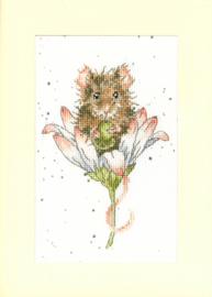 Wishes just for you Greetings card by Hannah Dale | Aida telpakket | Bothy Threads