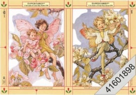 Flower Fairies | The Estate of Cicely Mary Barker 1996