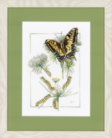 From Caterpillar to Butterfly Aida Lanarte
