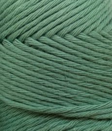 2133 Dark Mint Double Four Durable