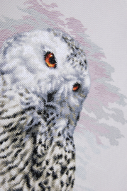 Snowy Owl Aida Lanarte