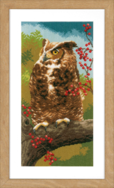 Owl in Autumn Aida Vervaco