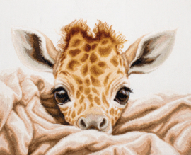 The Baby Giraffe | Aida | Luca-S telpakket