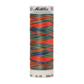 9981 Poly Sheen Multi 200 meter | Mettler