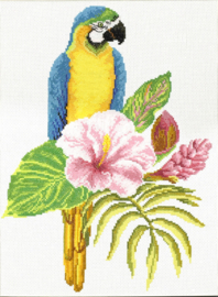 Hibiscus Macaw | Voorbedrukt borduurpakket | Needle Art