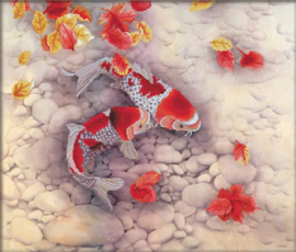 Koi Carp voorbedrukt Needleart World