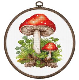 Amanita Muscaria Aida Luca-S Telpakket