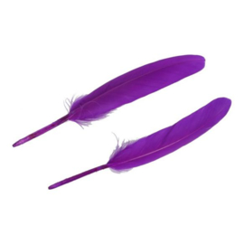 Purple Feathers 11-15cm / 4.3"-5.9"