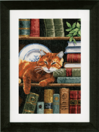 Cat on Bookshelf Aida Vervaco