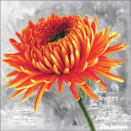 Orange Dahlia Voorbedrukt Borduurpakket Needleart World