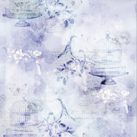 MRD_20-70-Lavender