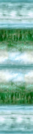 PF-MRD2-141