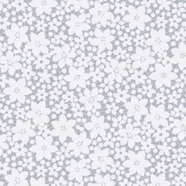 A_CMW10067-C
