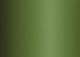 DS-8JYD4